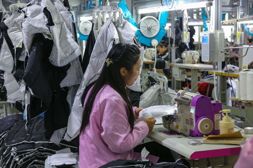 光山 冬季羽絨產品產銷正旺